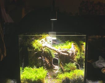 Live Moss Terrarium Kit – Mini Mountain Landscape, DIY Nature Scene, Eco Home Decor Gift for Plant Lovers