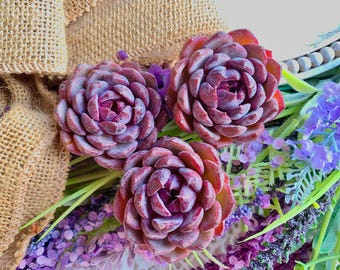 Echeveria ‘Blueberry’ Live Succulent Plant – Easy Care Indoor Succulent for Home & Office Decor, Small Plant Gift