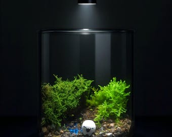 Round Glass Terrarium with Moss Landscape – Handmade Mini Nature Scene, Forest River Moss Terrarium Decor, Unique Eco Gift for Plant Lovers