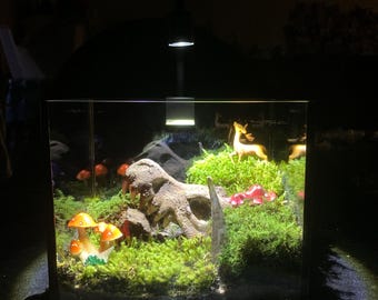 Dinosaur Terrarium with Live Moss – Create Your Own Mini Dino World, DIY Nature Terrarium Kit, Whimsical Decor Gift