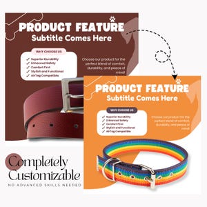 May include: A burgundy leather belt with a silver buckle and a rainbow-striped dog collar with a silver ring. The image includes text that reads "Product Feature" and "Completely Customizable."