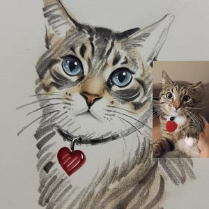 Custom Pet Sketch Painting,Custom Pet Portrait From Photo,Dog Portrait, Cat Portrait, Memorial Gift, Cat Mom Gift,Digital Pet Portrait