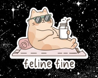 May include: A sticker featuring a cartoon cat relaxing on a pink mat, wearing sunglasses, and holding a drink. The cat is light orange with dark stripes. The text "feline fine" is below the cat, with a black starry background.
