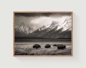 Fotografía impresa de bisontes en Grand Teton – Arte paisajístico de las montañas de Wyoming