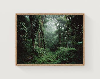 Impresión fotográfica de selva tropical brumosa: Arte mural de jungla tropical