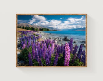 Lake Tekapo Lupin Flower Print: New Zealand Landscape Art
