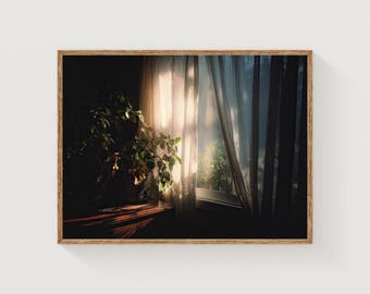 Impresión de película "Luz del sol matutino": Ventana acogedora, decoración botánica para el hogar