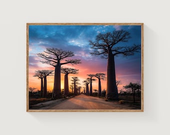 Impresión de árboles baobab al atardecer: arte mural con paisaje africano de Madagascar