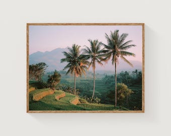 Bali Rice Terrace Sunrise Print | Tropical Palm Tree Landscape