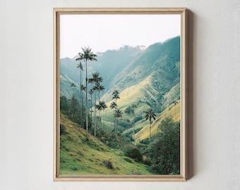 Impressão do Vale do Cocora | Fotografia de Paisagem com Palmeiras de Cera da Colômbia