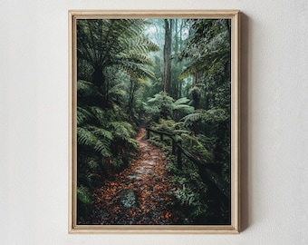 Impresión de la selva tropical de Otway, sendero de helechos en la jungla, fotografía de naturaleza australiana