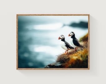 Iceland Puffin Print: Coastal Bird Photography, Nordic Home Decor