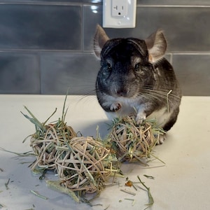 Bolas de golosinas crujientes - Juguete masticable natural para chinchillas, cobayas, conejos, pájaros y mascotas pequeñas / Juguete masticable / Triturable / Enriquecedor de jaulas