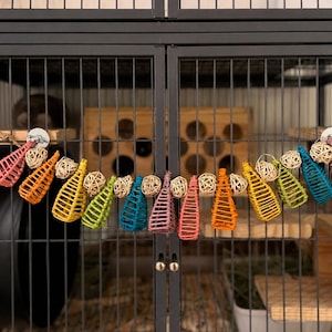 May include: A hanging pet toy garland featuring a series of colorful, woven wicker cone-shaped pendants and small, round, natural-colored rattan balls strung together. The cones are dyed in shades of pink, orange, yellow, green, and blue.
