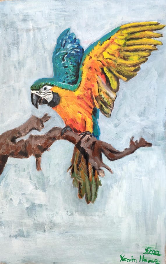 コンゴーインコ 絵画 コンゴウインコ 絵画