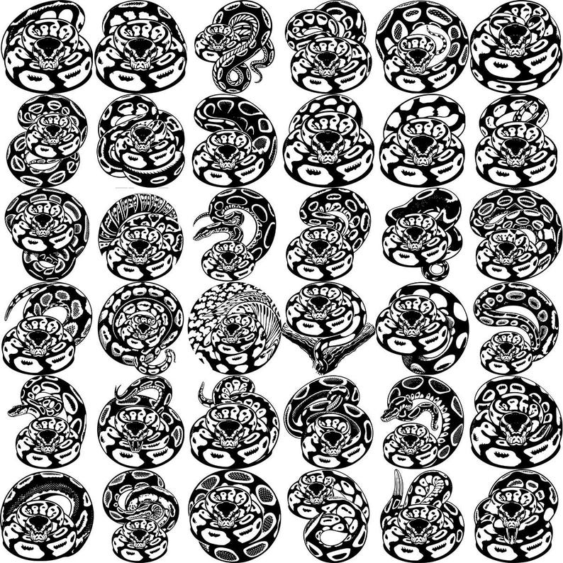 Animals, Birds, Fishes, Forest life, wild life, Landscape life, flowers, monogram, welcome signs, patriotic, peeking, kids, wilderness, double exposure, heads faces, scenes, procreate, jungle, safari animals, sea animals, sea life, summer, vintage, woodland, svg bundles, mega bundle, svg, ai, eps, png, dxf, dwg, jpegs, jpg, cartoon, cute, dancing, doodle, coloring book, nursery, funny, hand drawn, kawaii, line art, outline, adorable, Australian, African, American, Asian, Indian