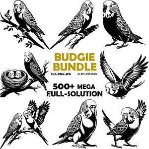 Wellensittich Vogel SVG Bundle | Sittich Silhouetten, Clipart (digitaler Download)
