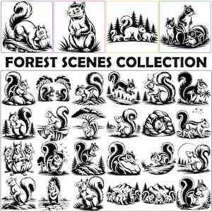 May include: A collection of black and white squirrel illustrations in various forest scenes. The images feature squirrels in different poses, including standing, running, and interacting with their environment. The text "FOREST SCENES COLLECTION" is displayed.