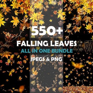 Pode incluir: Um pacote de arte digital com mais de 550 folhas caindo em tons de amarelo, laranja e castanho. O texto "550+ FALLING LEAVES ALL IN ONE BUNDLE" é exibido em branco e turquesa. Inclui arquivos JPEG e PNG.