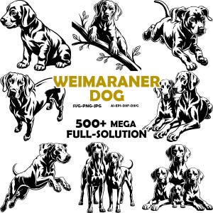 Puede incluir: Una colección de ilustraciones gráficas en blanco y negro que muestran perros Weimaraner en varias poses, incluyendo sentados, saltando y de pie. El texto central dice WEIMARANER DOG, SVG-PNG-JPG, AI-EPS-DXF-DWG y 500+ MEGA FULL-SOLUTION.
