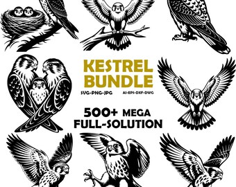 Paquete de imágenes SVG y PNG de cernícalos: diseños de siluetas de aves rapaces (descarga digital)