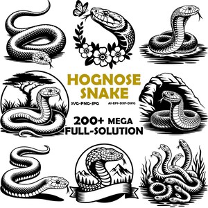 Funny Hognose Snake Svg, Anatomy Of A Snake Png, Cricut Snake Clipart, Cute Rattle Snake Svg Black And White Prints, Commercial Use