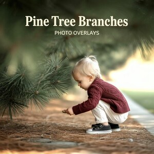Könnte beinhalten: Ein Kind in einem weinroten Pullover und einer weißen Hose hockt sich in der Nähe von Kiefernzweigen. Das Bild hat oben den Text "Pine Tree Branches PHOTO OVERLAYS".