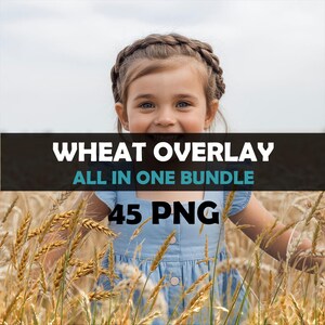 Puede incluir: Una joven con un peinado trenzado sonríe en un campo de trigo. La imagen tiene el texto "WHEAT OVERLAY ALL IN ONE BUNDLE 45 PNG". La persona lleva un vestido azul.