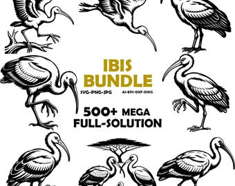 Ibis SVG Bundle, Bin Chicken Clipart, Line Art Silhouette (Digital Download)