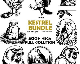 Paquete de siluetas de cernícalos en SVG y PNG: diseños de siluetas de aves rapaces y cernícalos voladores para manualidades de Cricut y amantes de la vida silvestre, descargas instantáneas.