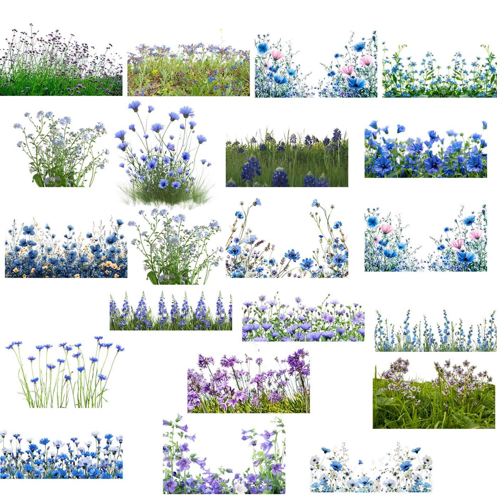 Overlay Flower Vector MULTICOLOR FLOWERS Overlays, Wildflowers Overlays, Flower Meadow ...