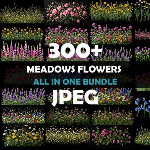 Meadow Flowers Overlays/Clipart Collection • Natural Flowers Clip Art • Realistic Wildflowers with Transparent Background Photo Overlays