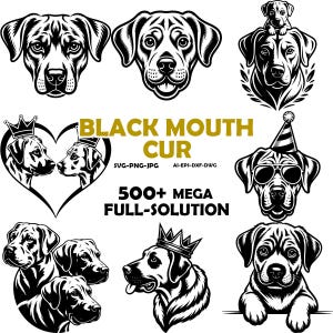 May include: Black and white illustrations of Black Mouth Cur dogs in various poses. Some dogs wear crowns, sunglasses, or party hats. The text "BLACK MOUTH CUR" and "500+ MEGA FULL-SOLUTION" are also present.