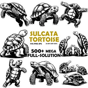 Sulcata sköldpadda SVG & PNG digitala filer, vektorgrafikdesign utskrift lasergravyr filer, omedelbar digital nedladdning