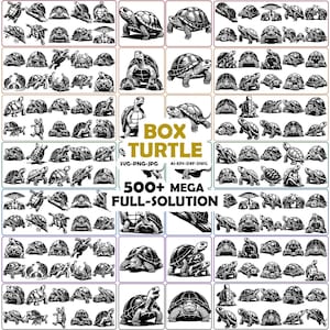 Könnte beinhalten: Eine Sammlung von Schwarz-Weiß-Illustrationen von Boxschildkröten in verschiedenen Posen. Das Bild enthält den Text "BOX TURTLE" und "500+ MEGA FULL-SOLUTION", ideal für digitale Kunstprojekte.
