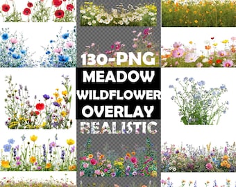 Wiesenblumen Overlays/Clipart Sammlung • Natürliche Blumen Clip Art • Realistische Wildblumen mit transparentem Hintergrund