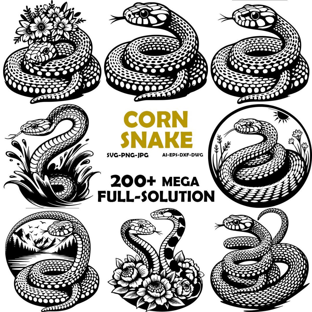 Snake Pattern Dxf Design Corn Snake Cut Files for Cricut and Silhouette .svg .png .jpg .dxf - Etsy
