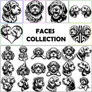 Cockapoo Portrait svg png dxf eps pdf | vector graphic cut file laser clip art instant digital download commercial use