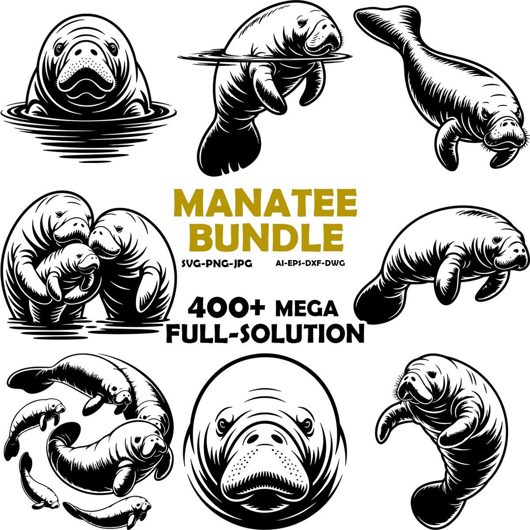 Manatee Vector File Manatee SVG Bundle, Floral Nautical Clipart (digital Download) - Etsy