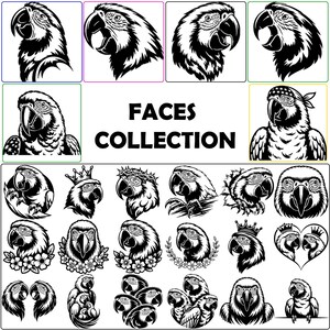 May include: A collection of black and white parrot face illustrations. The image includes various parrot head designs, some with crowns, floral wreaths, and bandanas. The text "FACES COLLECTION" is displayed in bold, black letters.