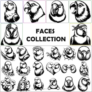 May include: A collection of black and white parrot face illustrations. The image includes various parrot portraits with different expressions and accessories, such as sunglasses and headbands. The text "FACES COLLECTION" is displayed in the center.
