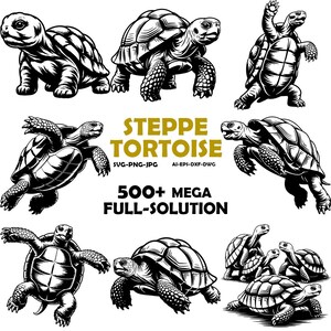 Steppe Tortoise SVG Clipart – Funny Turtle Graphic for Decals, Mugs