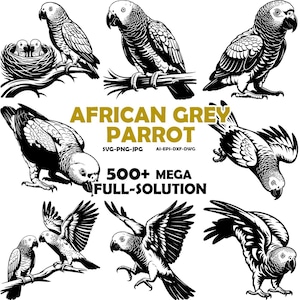 African Grey Parrot SVG, Bird Portrait Clipart (Digital Download)