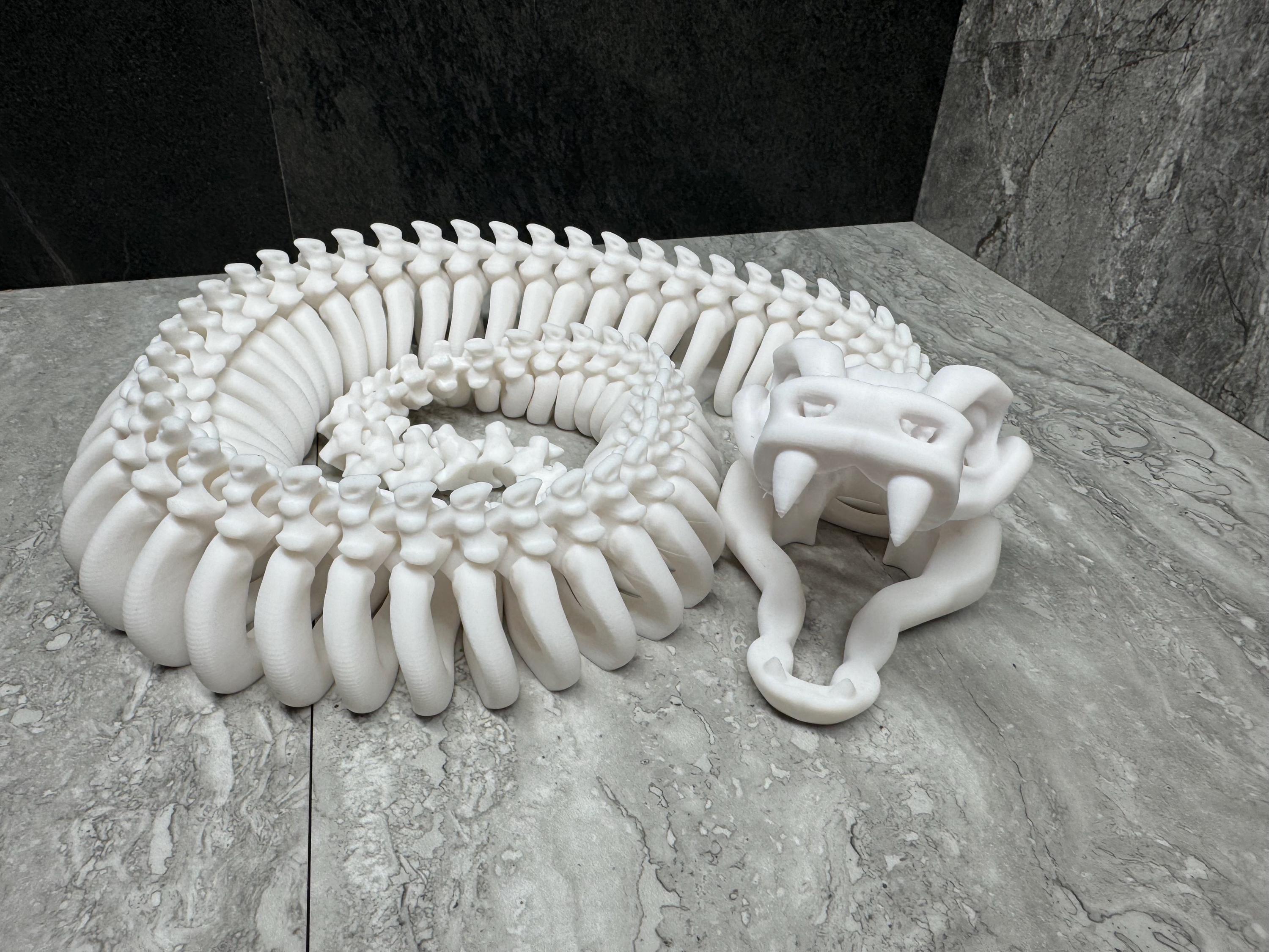 Articulating Snake Skeleton Model - Extra Large Size