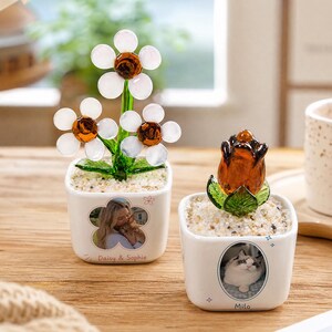 Custom Pet Photo Glass Plant Pot, Glass Flower Sculptures for Office Home, Desk Decor, Dog Lover Gift, Pet Gifts, Pet Loss Gift