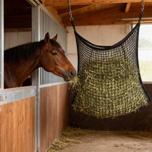 Puede incluir: Una red negra para heno llena de heno verde cuelga en un establo. Un caballo marrón está comiendo heno de la red. El establo tiene paredes de madera y una puerta de metal. La red para heno está suspendida del techo por cadenas de metal.