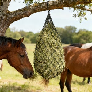Filet à Foin à Alimentation Lente Pour Cheval, Suspendu, Noir, Robuste, Jamais Utilisé