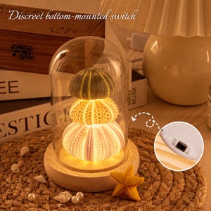 Sea Urchin Shell Night Light DIY Kit – Vintage Ocean Lamp, Dreamy Handmade Gift, Soft LED Glow mystical home decor, unique birthday present