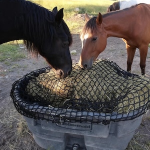 Puede incluir: Dos caballos comen heno de un comedero de red negro dentro de un contenedor Rubbermaid gris. Un caballo es negro, el otro es marrón. El heno es de color marrón claro. La escena es al aire libre con hierba verde al fondo.