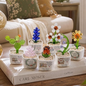 May include: A collection of six small glass plants in white square ceramic pots filled with pebbles. Each pot features printed text and illustrations. The plants include a green cactus, a blue lavender, a pink succulent, a red rose, white flowers, and a yellow sunflower.